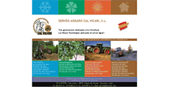 Desktop Screenshot of calvicari.com