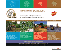 Tablet Screenshot of calvicari.com
